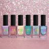 Holo Taco A+ Aesthetic Bundle