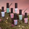 Holo Taco Cottagecore Collection