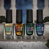 Holo Taco Grad School Bundle