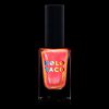 Holo Taco Encryption Key
