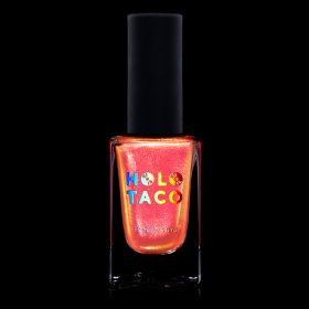 Holo Taco Encryption Key