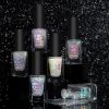 Holo Taco Top It Like It's Hot Bundle
